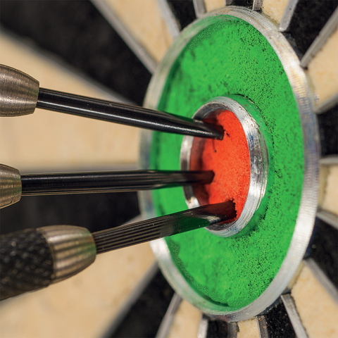 Winmau Plasma Ice Dartboard Light & Grey/White Pro-Line Surround Bundle