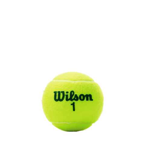 Wilson US Open Green Tournament 3-Balls Tennis Balls