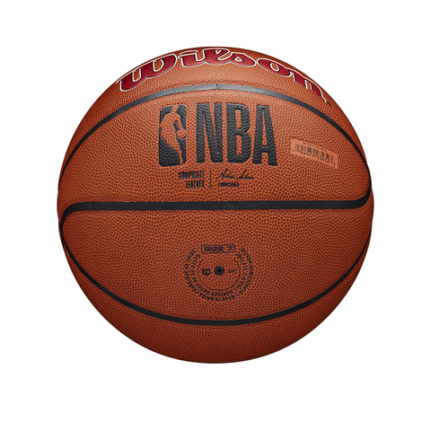 Wilson NBA Team Alliance Miami Heat Basketball