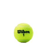 WILSON CHAMPIONSHIP EXTRA DUTY 3 TENNIS BALL CAN