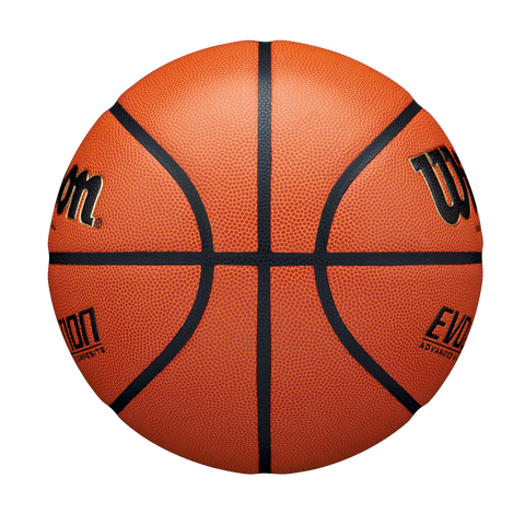 WILSON Evolution Basketball