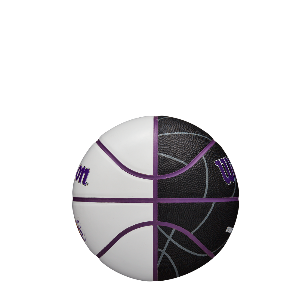 WILSON NBA TEAM AUTOGRAPH MINI BASKETBALL SPORTS Resources, Inc.