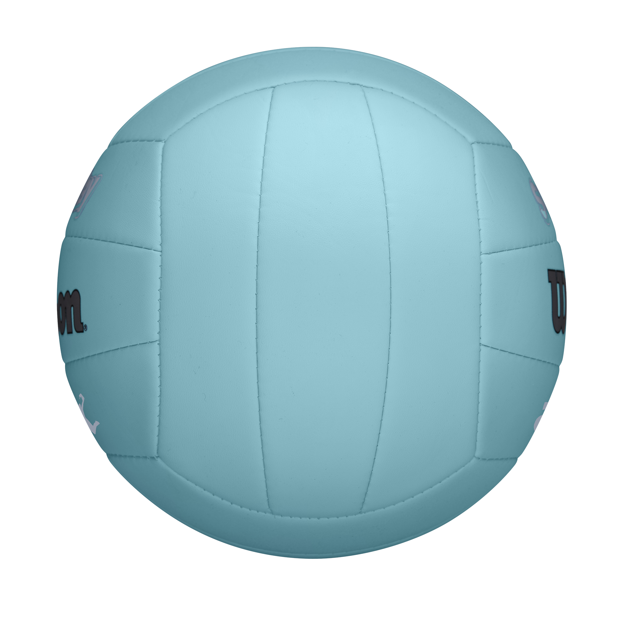 Wilson AVP Soft Play Volleyball